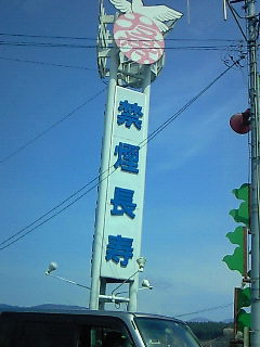 y䂤z