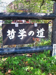 yz