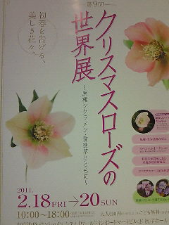 y{̊蓹z